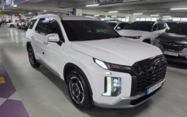 팰리세이드 중고차 더 뉴 팰리세이드 디젤 2.2 2WD 매물 사진 15 - 2022/10 132,801km