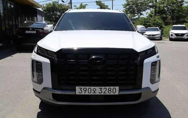 팰리세이드 중고차 더 뉴 팰리세이드 디젤 2.2 2WD 매물 사진 11 - 2022/07 97,578km